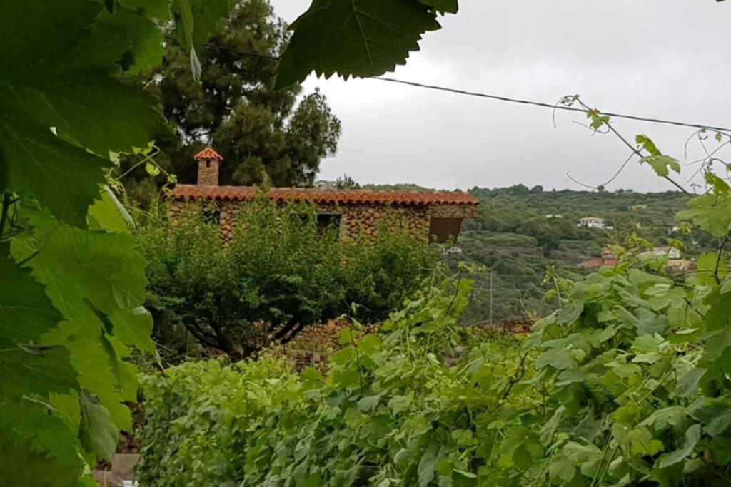 La Tagora Conect With The Nature & Relax Icod De Los Vinos Exterior foto